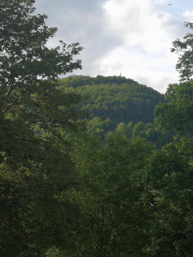 Ferienwohnung *Am Bronnwiesle* Deggingen Buitenkant foto